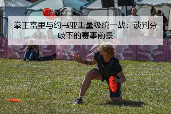 拳王富里与约书亚重量级统一战：谈判分歧下的赛事前景