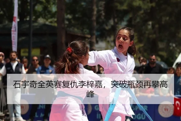 shi-yu-qi-quan-ying-sai-fu-chou-li-zi-jia-tu-po-ping-jing-zai-pan-gao-feng-2-912.jpg